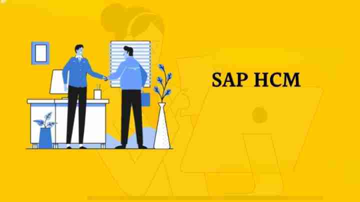 Future Scope OF SAP HCM in India