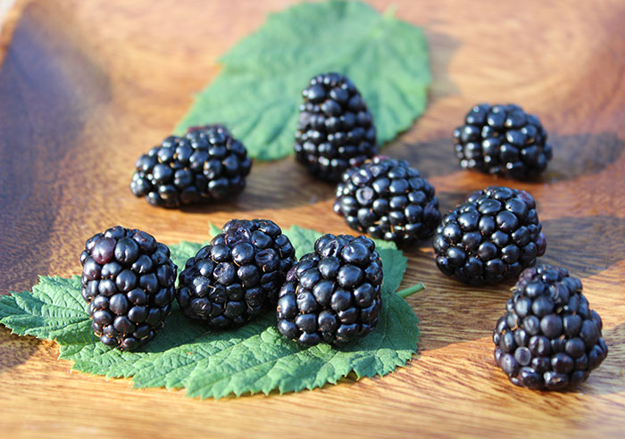 Blackberries Are Important for Men’s Health