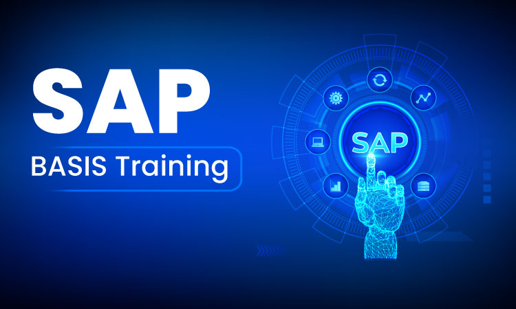 SAP BASIS Administration: Best Practices And Techniques